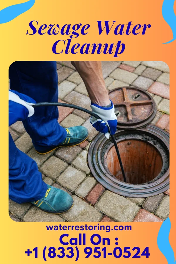 Sewage Water Cleanup in Rosewood Heights, IL